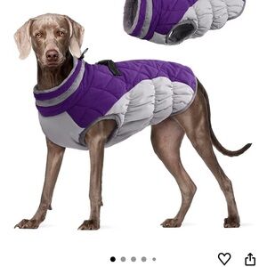 Purple and Gray Dog Jacket